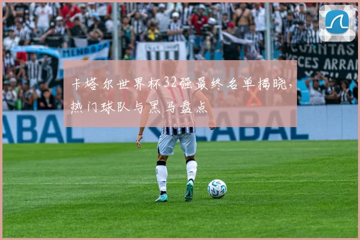 卡塔尔世界杯32强最终名单揭晓,热门球队与黑马盘点
