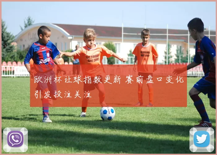 欧洲杯让球指数更新 赛前盘口变化引发投注关注