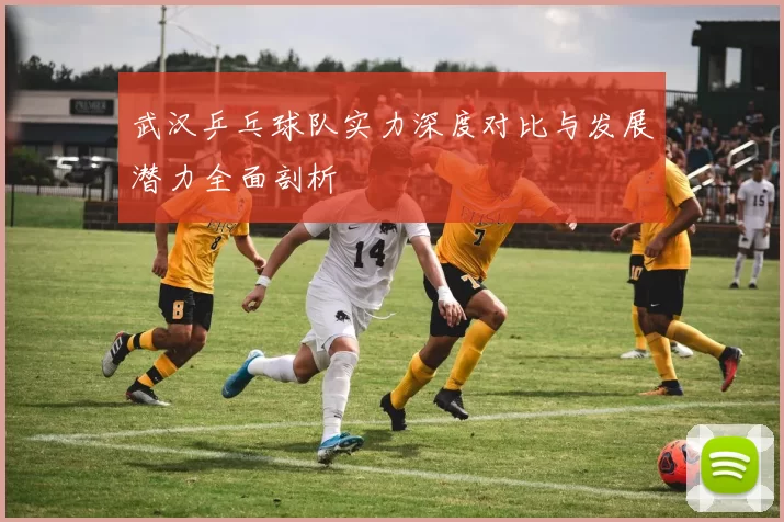 武汉乒乓球队实力深度对比与发展潜力全面剖析