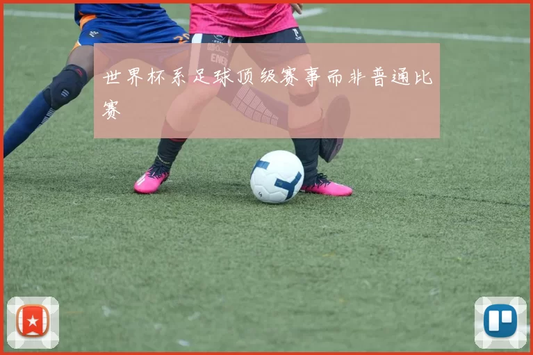世界杯系足球顶级赛事而非普通比赛