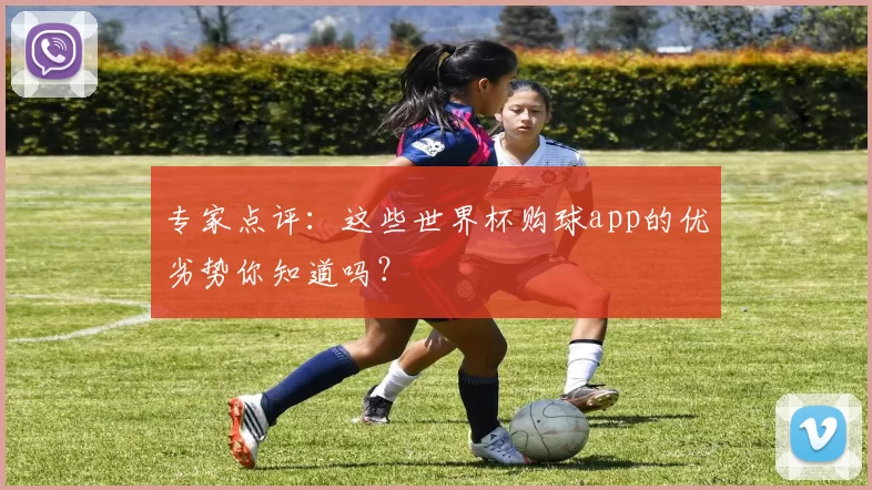专家点评:这些世界杯购球app的优劣势你知道吗?
