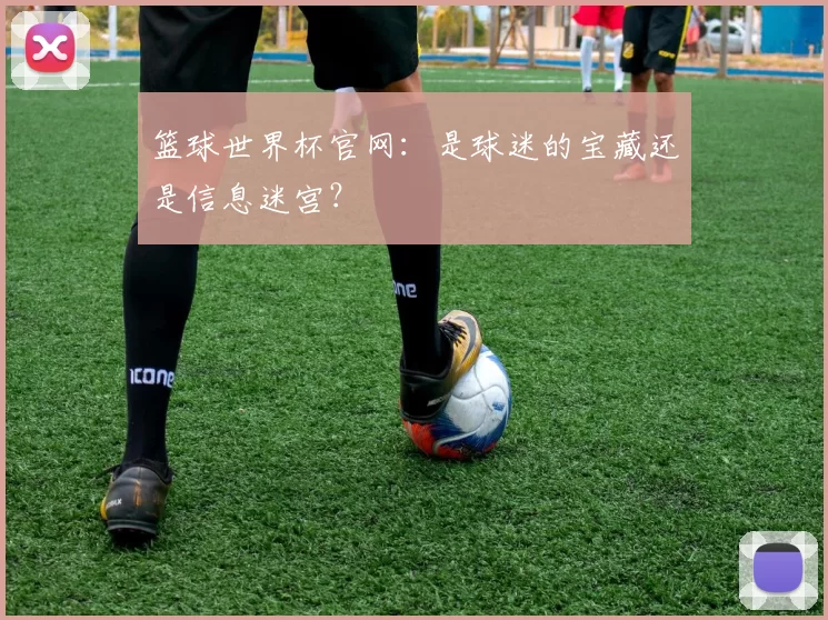 篮球世界杯官网：是球迷的宝藏还是信息迷宫？