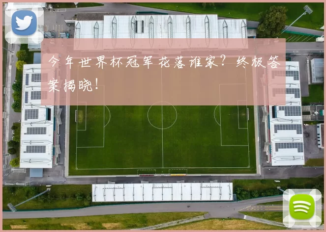 今年世界杯冠军花落谁家?终极答案揭晓!