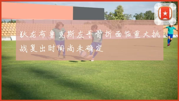 狄龙布鲁克斯左手骨折面临重大挑战复出时间尚未确定