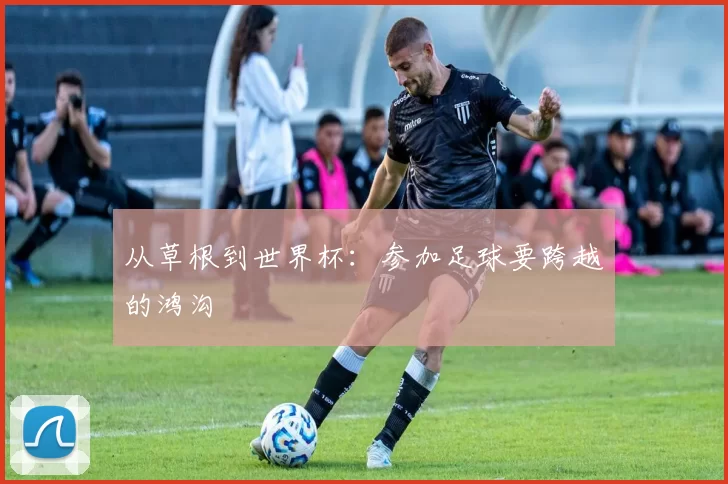 从草根到世界杯:参加足球要跨越的鸿沟