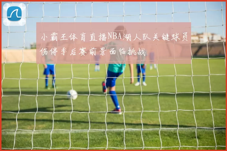 小霸王体育直播NBA湖人队关键球员伤停季后赛前景面临挑战