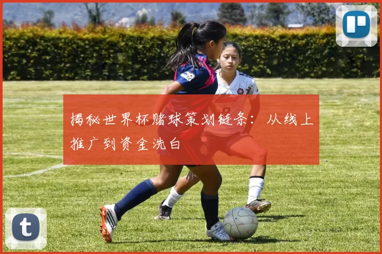 揭秘世界杯赌球策划链条：从线上推广到资金洗白