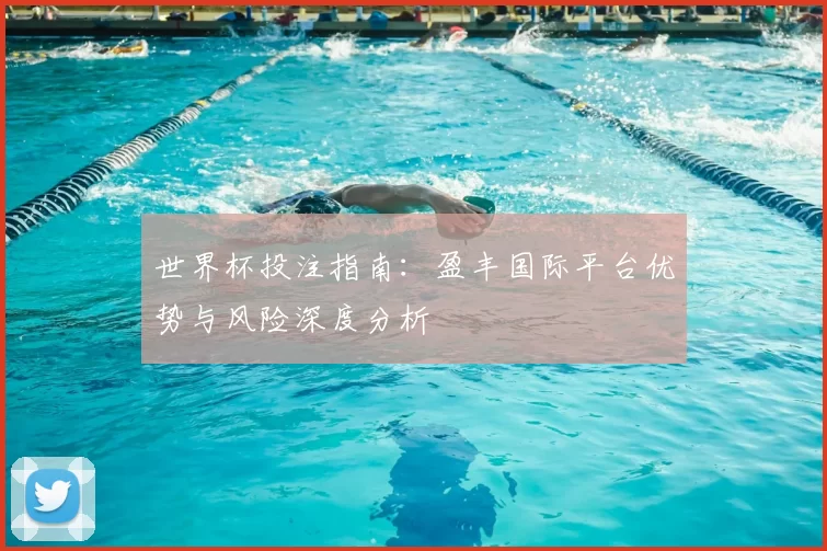 世界杯投注指南:盈丰国际平台优势与风险深度分析