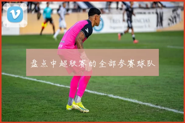 盘点中超联赛的全部参赛球队