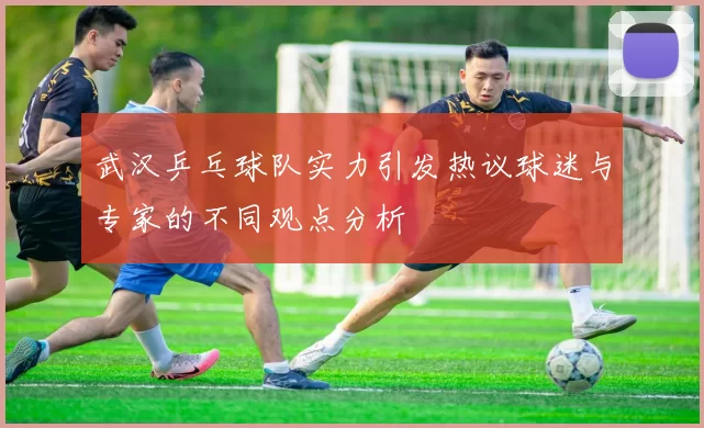 武汉乒乓球队实力引发热议球迷与专家的不同观点分析
