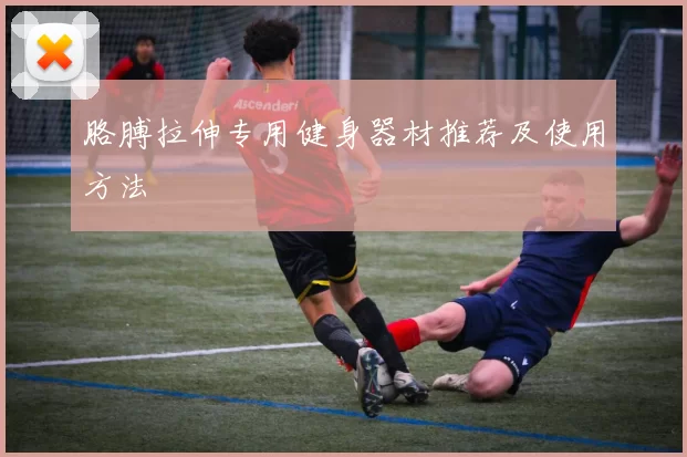 胳膊拉伸专用健身器材推荐及使用方法