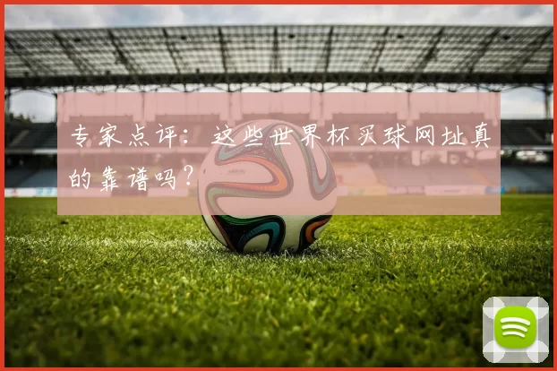 专家点评:这些世界杯买球网址真的靠谱吗?