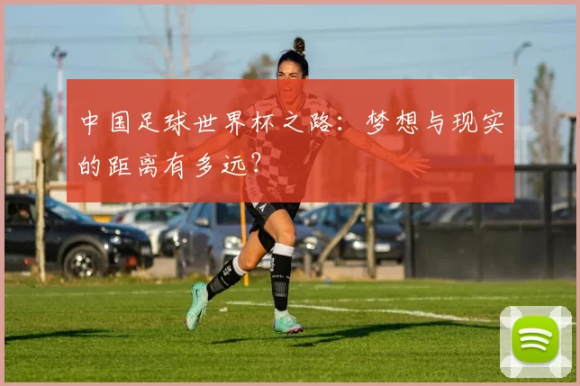 中国足球世界杯之路:梦想与现实的距离有多远?