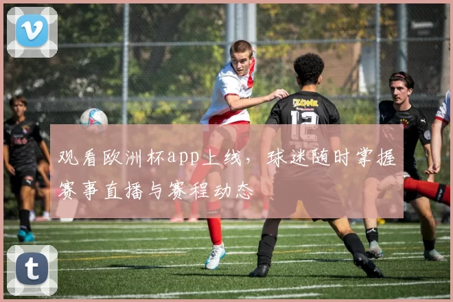 观看欧洲杯app上线,球迷随时掌握赛事直播与赛程动态
