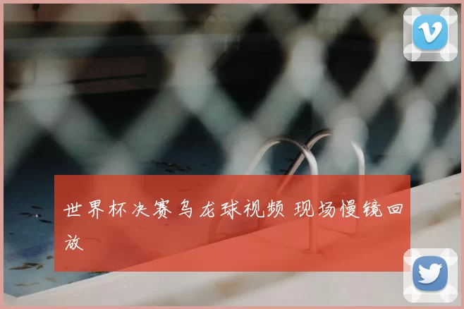 世界杯决赛乌龙球视频 现场慢镜回放