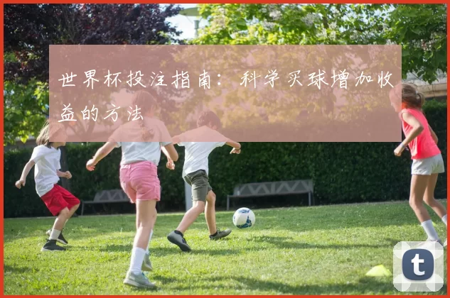 世界杯投注指南:科学买球增加收益的方法