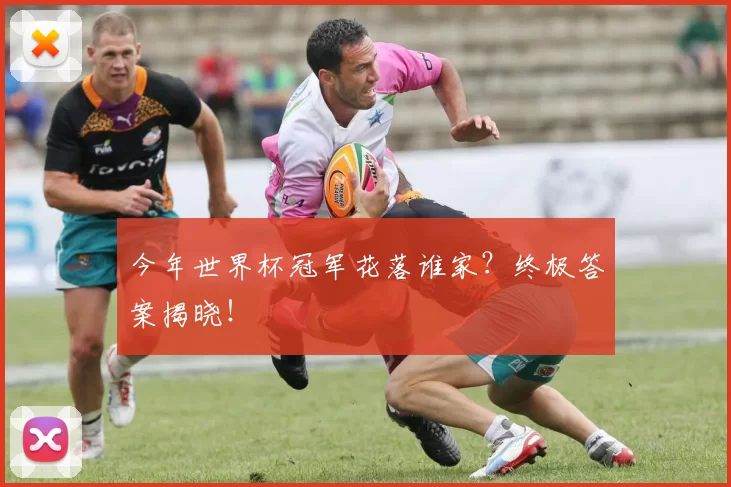 今年世界杯冠军花落谁家？终极答案揭晓！