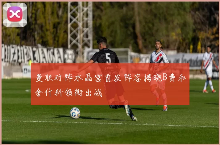 曼联对阵水晶宫首发阵容揭晓B费和舍什科领衔出战
