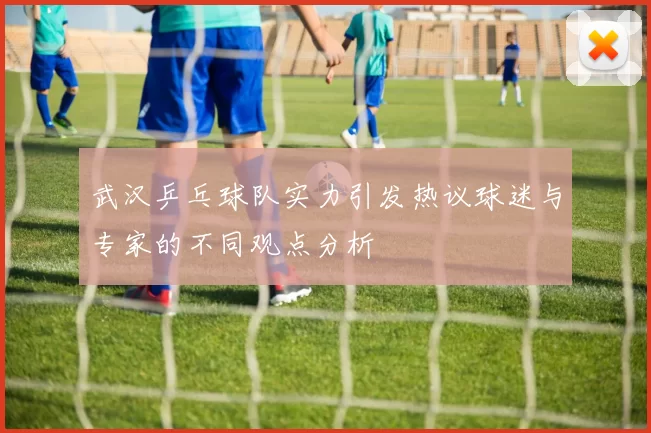 武汉乒乓球队实力引发热议球迷与专家的不同观点分析